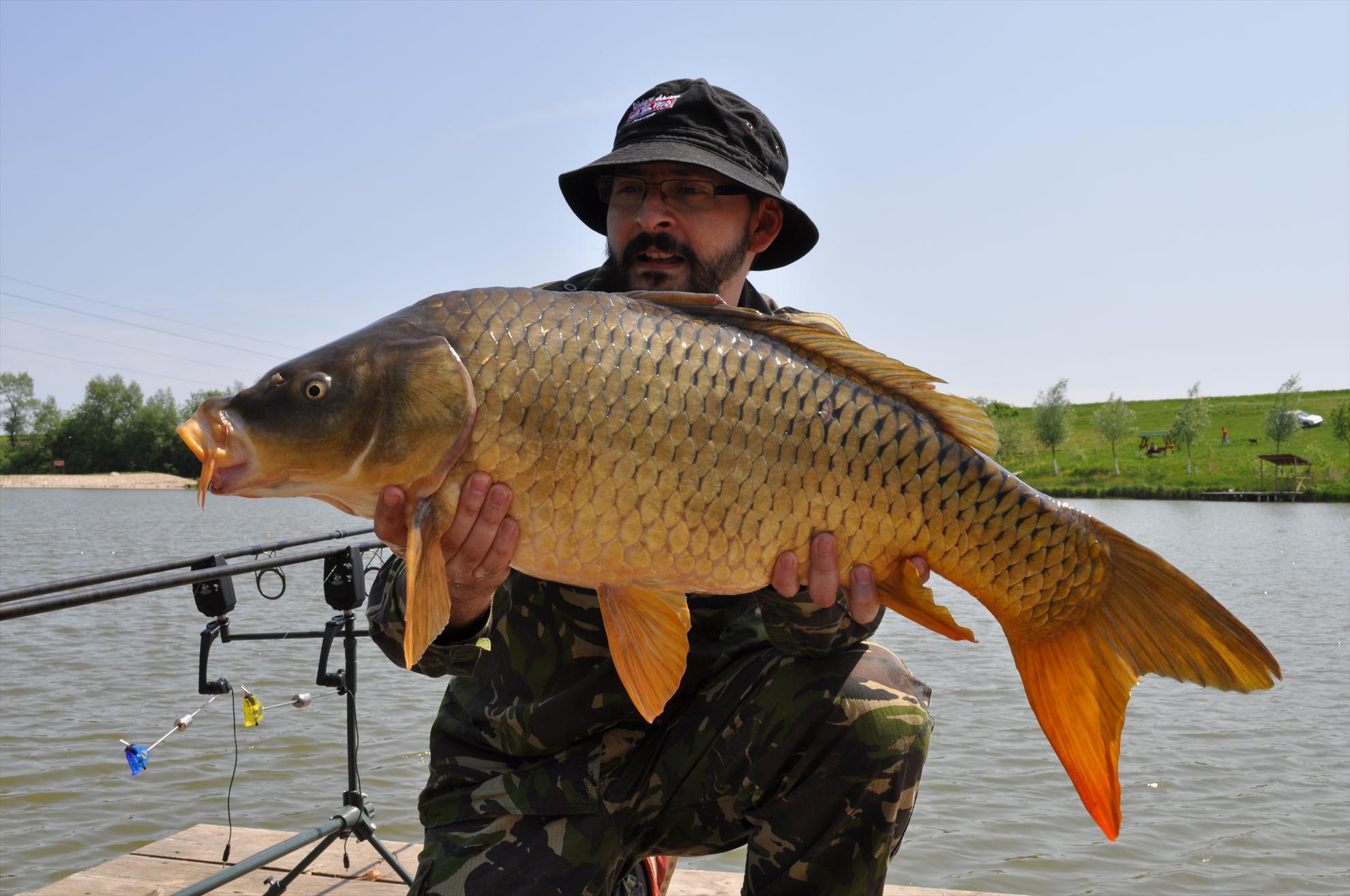 Teslui - dsc0312.JPG